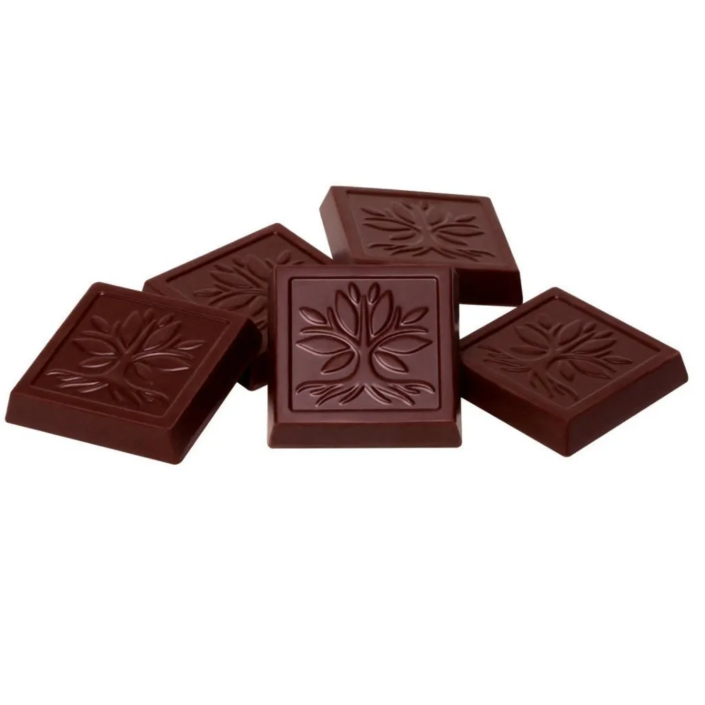 American Heritage Chocolate Tasting Square