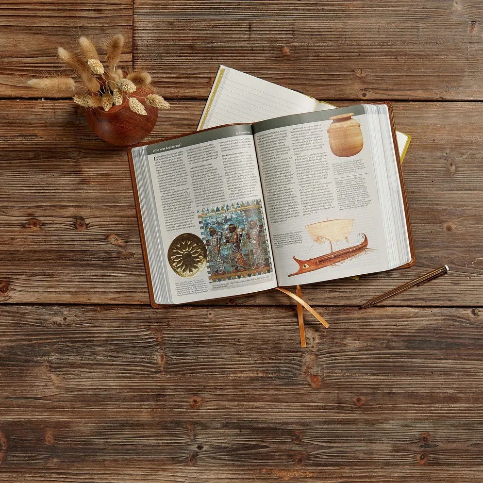 CSB Holy Land Illustrated Bible--soft leather-look, British tan