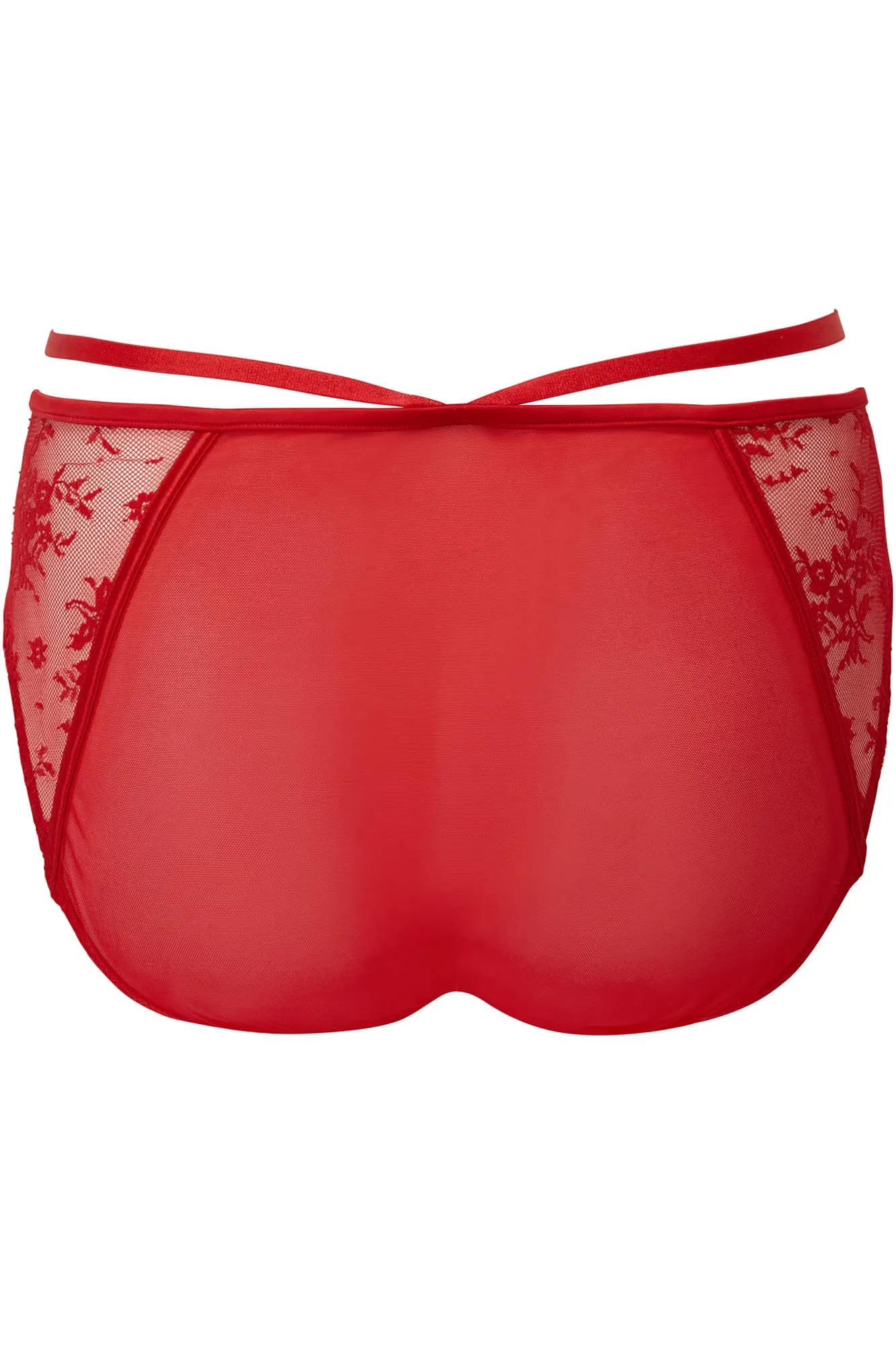 Deadly Attraction Panty [SCARLET] [PLUS]