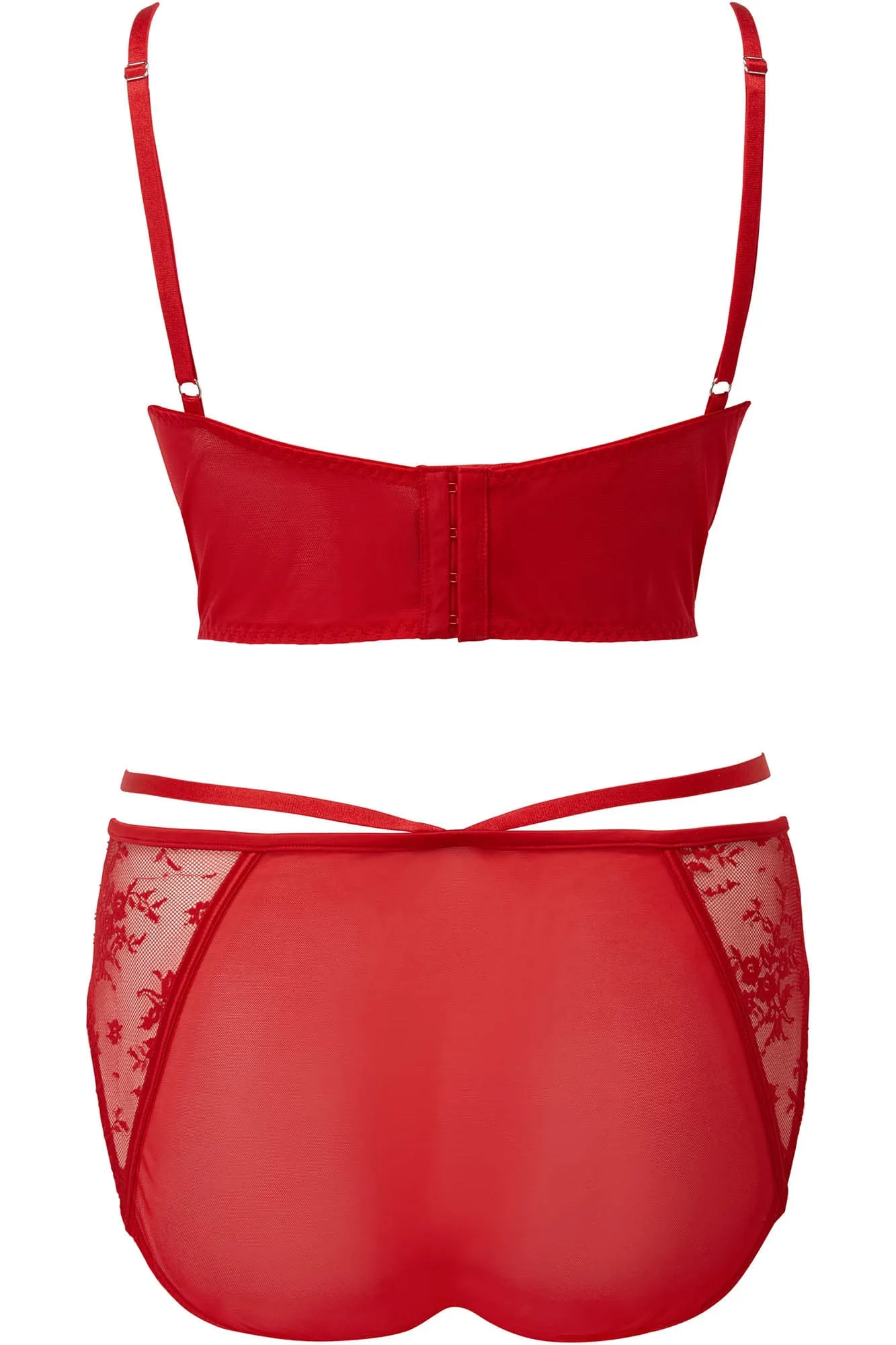 Deadly Attraction Panty [SCARLET] [PLUS]