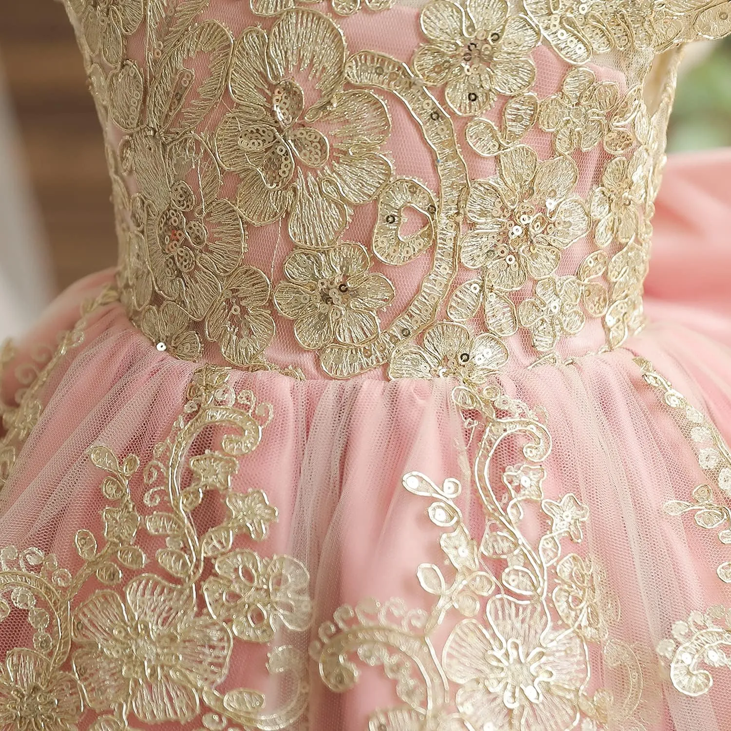 HNXDYY Baby Girl Tutu Dress Princess Lace Embroidery Wedding Party Gown