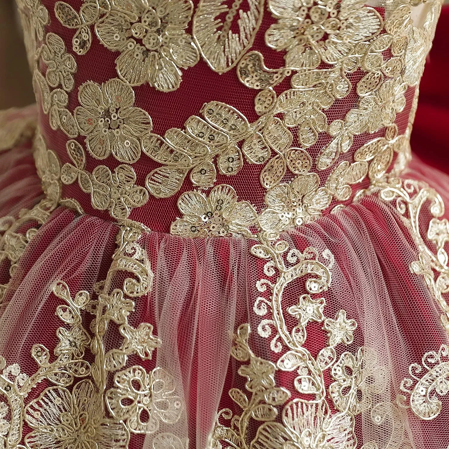 HNXDYY Baby Girl Tutu Dress Princess Lace Embroidery Wedding Party Gown