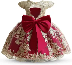 HNXDYY Baby Girl Tutu Dress Princess Lace Embroidery Wedding Party Gown