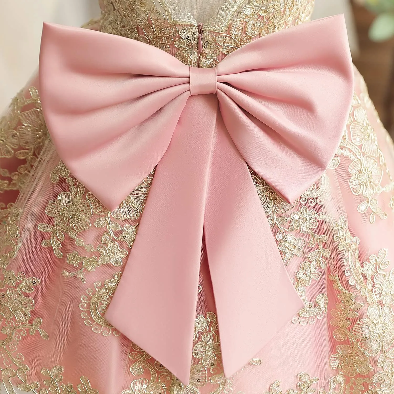 HNXDYY Baby Girl Tutu Dress Princess Lace Embroidery Wedding Party Gown