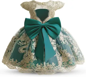 HNXDYY Baby Girl Tutu Dress Princess Lace Embroidery Wedding Party Gown