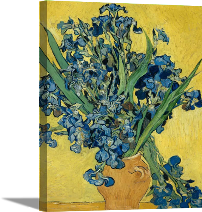 Irises in Yellow | Vincent Van Gogh Masters Classic Art in Gallery Wrapped Canvas | Various Sizes