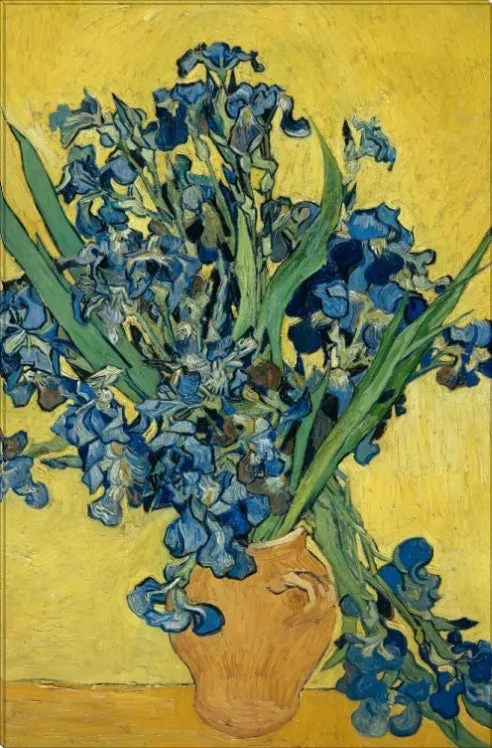 Irises in Yellow | Vincent Van Gogh Masters Classic Art in Gallery Wrapped Canvas | Various Sizes